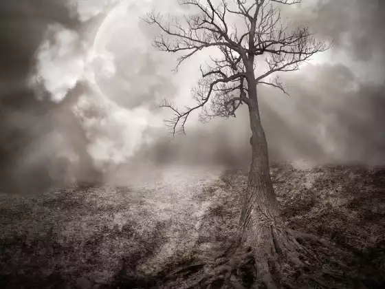 Letting Go of Self-Pity Meditation 1