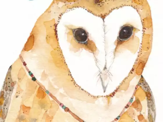 Voices from Spirit - Owl Medicine