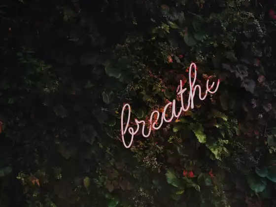 How to Survive Big Change: A Channeling with Grace and Maitland