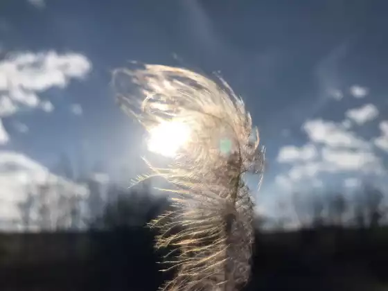 #31- Spirit Signs