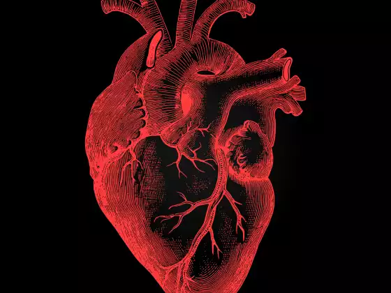 #54-Advanced Healing Heart: Part 2