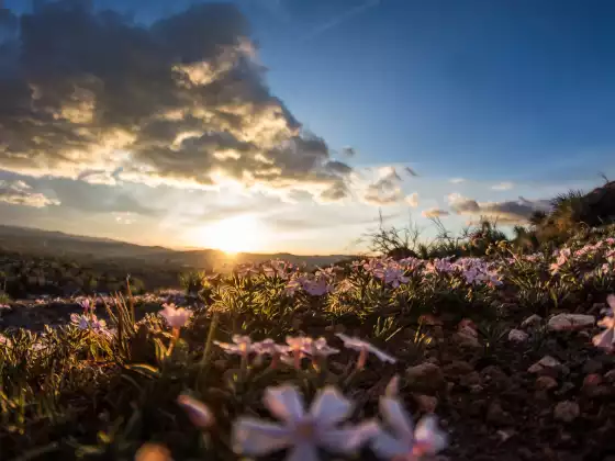 Abundance in All Areas of Your Life-A Channeling with Grace and Maitland