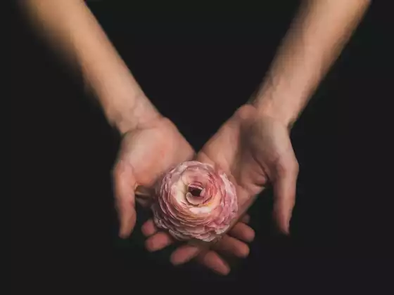 Remote Reiki Healing for 33 Minutes
