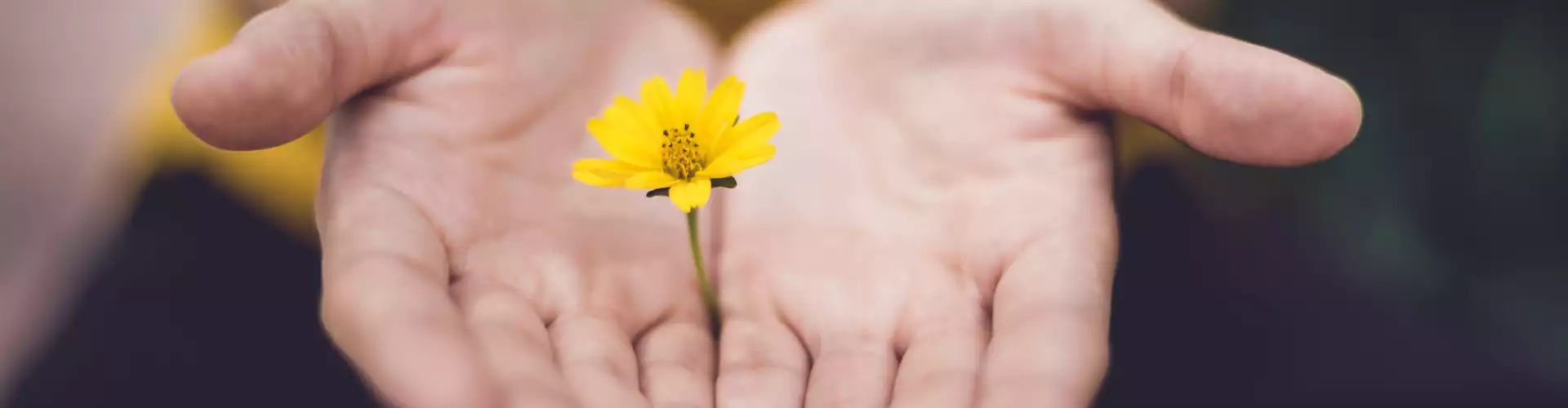Reiki livello 1 - Online Class by Jamie Butler