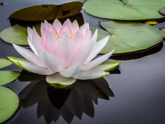 Reiki Mastership Weekend
