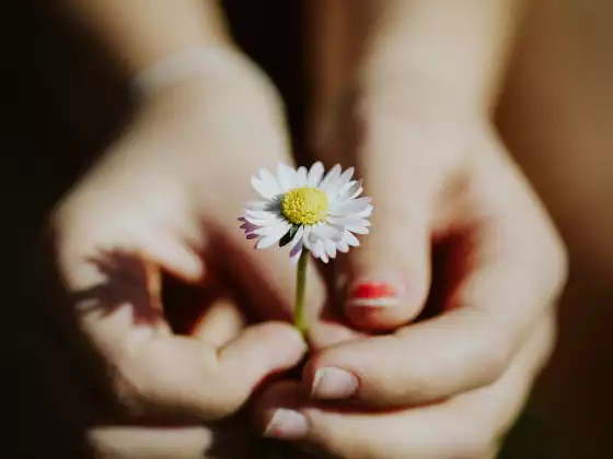 Reiki niveau 1