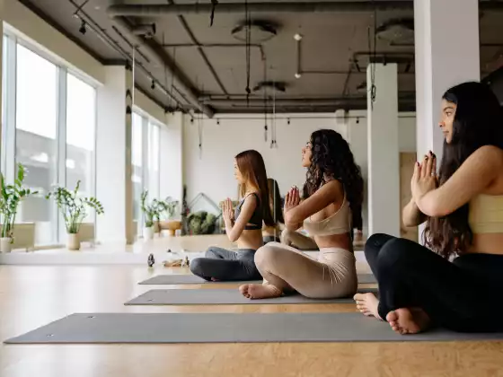 Yoga pour débutants avec Dixie