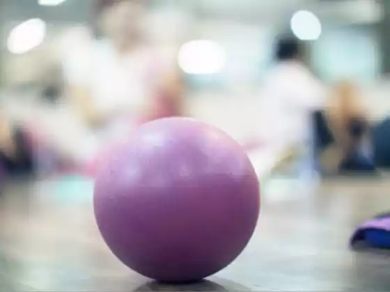 Pilates on the Stability Ball