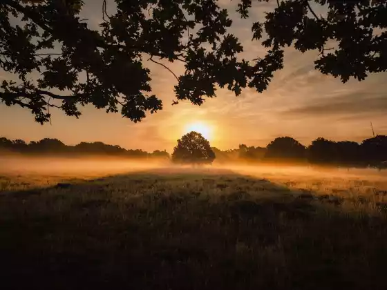 Summer Solstice 2021 - Review, Release, Renew Ceremony