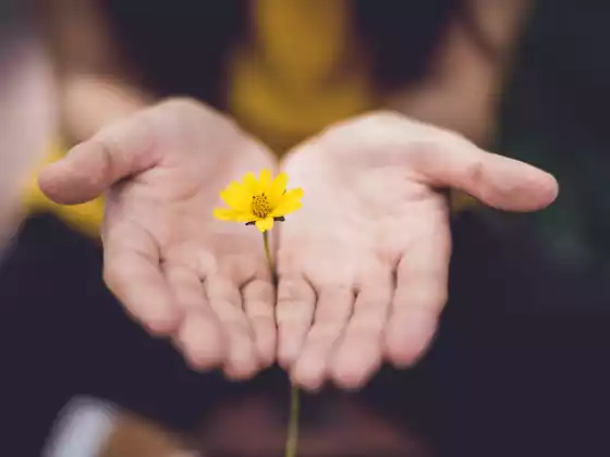 Reiki Mastership Weekend