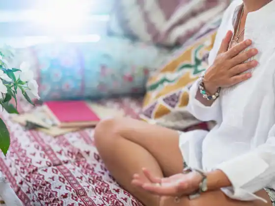 Soul Embodiment Meditation Series with Resilience Guide Leah Skurdal