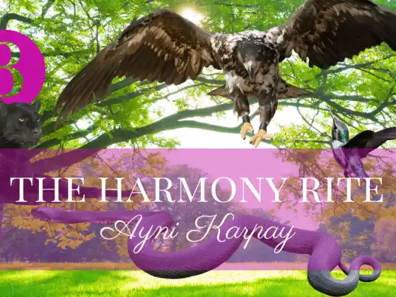 The Harmony Rite Munay-Ki Rite 3