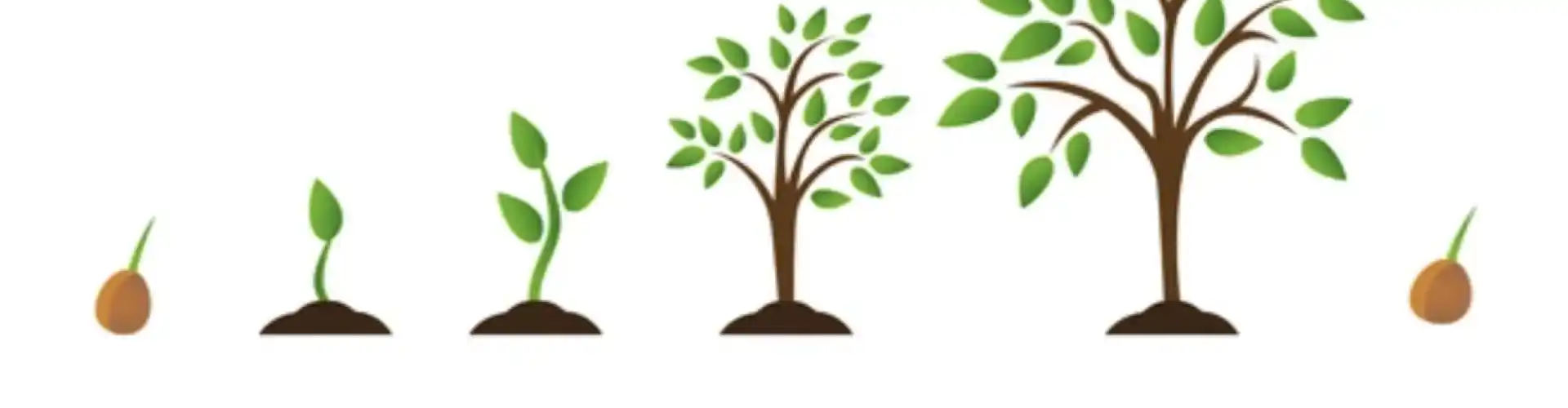 Approfondisci la tua Coscienza: La Vita Tra Incarnazione e Reincarnazione - Online Class by Dr. Gita Rani Ponnuchamy