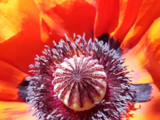 The Chakra Journey: Class Three ~ Your Root Chakra